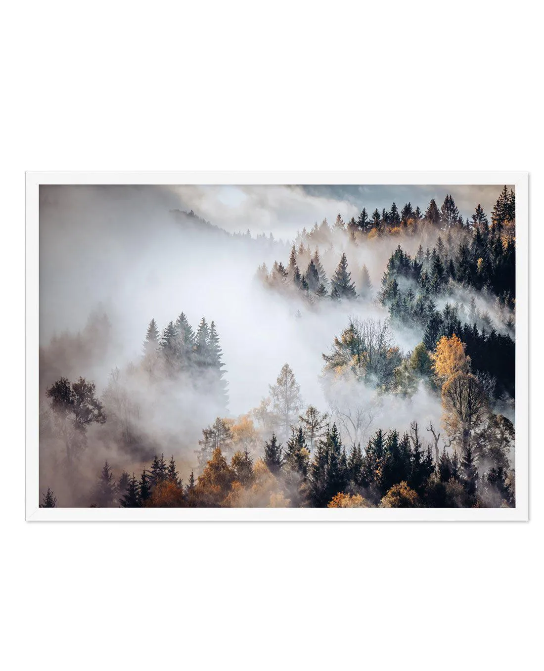 Autumn Forest Mist Art Print