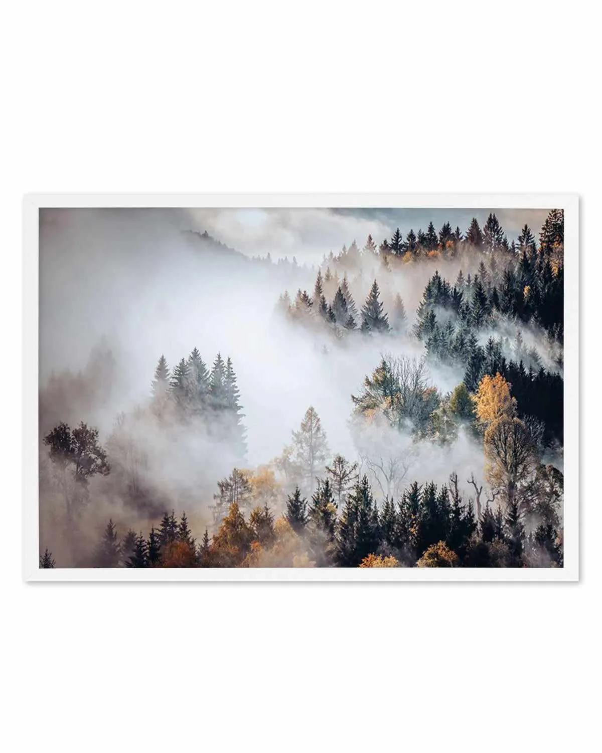 Autumn Forest Mist Art Print