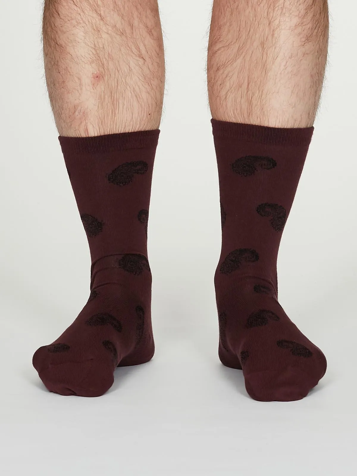 Homer Socks - Burgundy