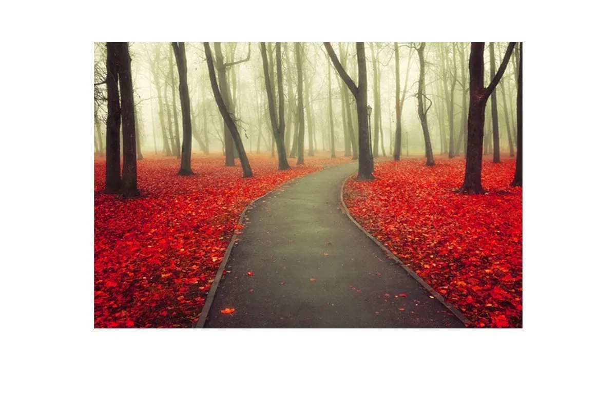 Misty Autumn Forest | Canvas Art Print